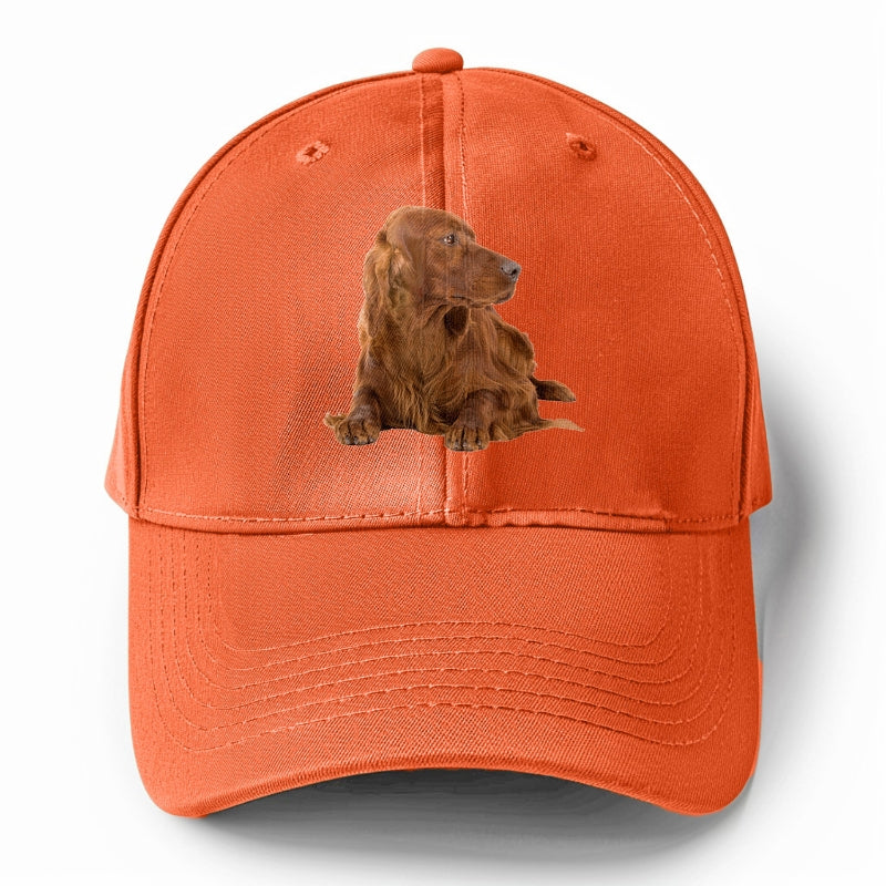 Irish Setter Hat