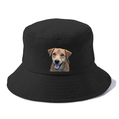 Labrador Hat