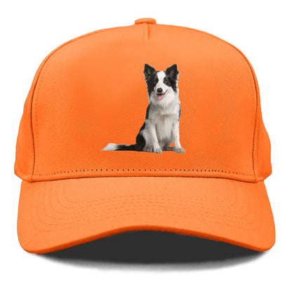 Border Collie Hat