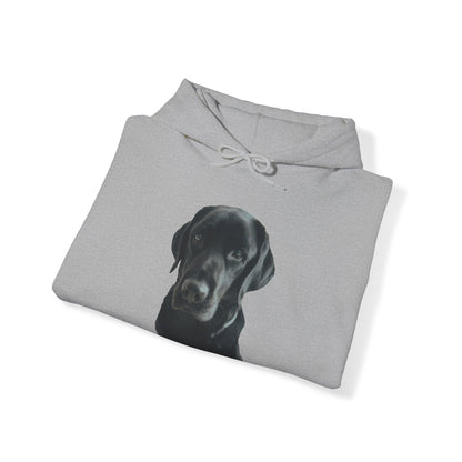 Black Labradors Hooded Sweatshirt