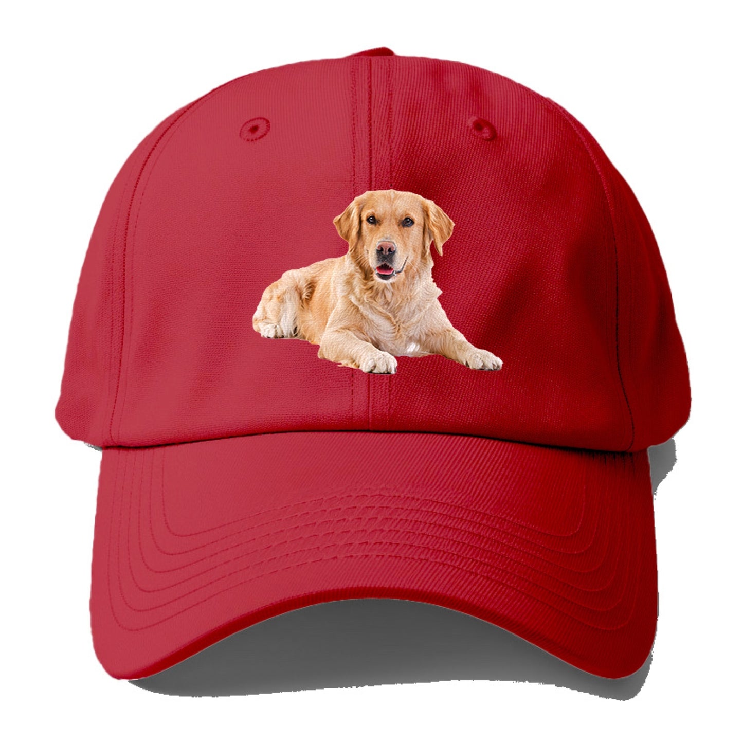 Golden Retriever laying down Hat