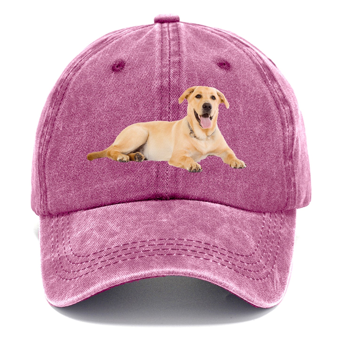 Labrador laying down Hat