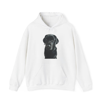 Black Labradors Hooded Sweatshirt