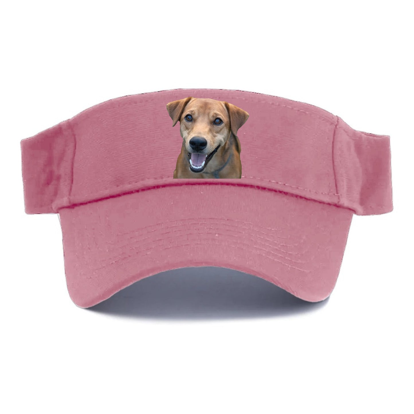 Labrador Hat