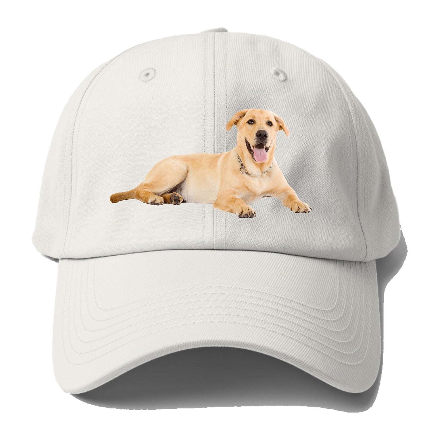 Labrador laying down Hat