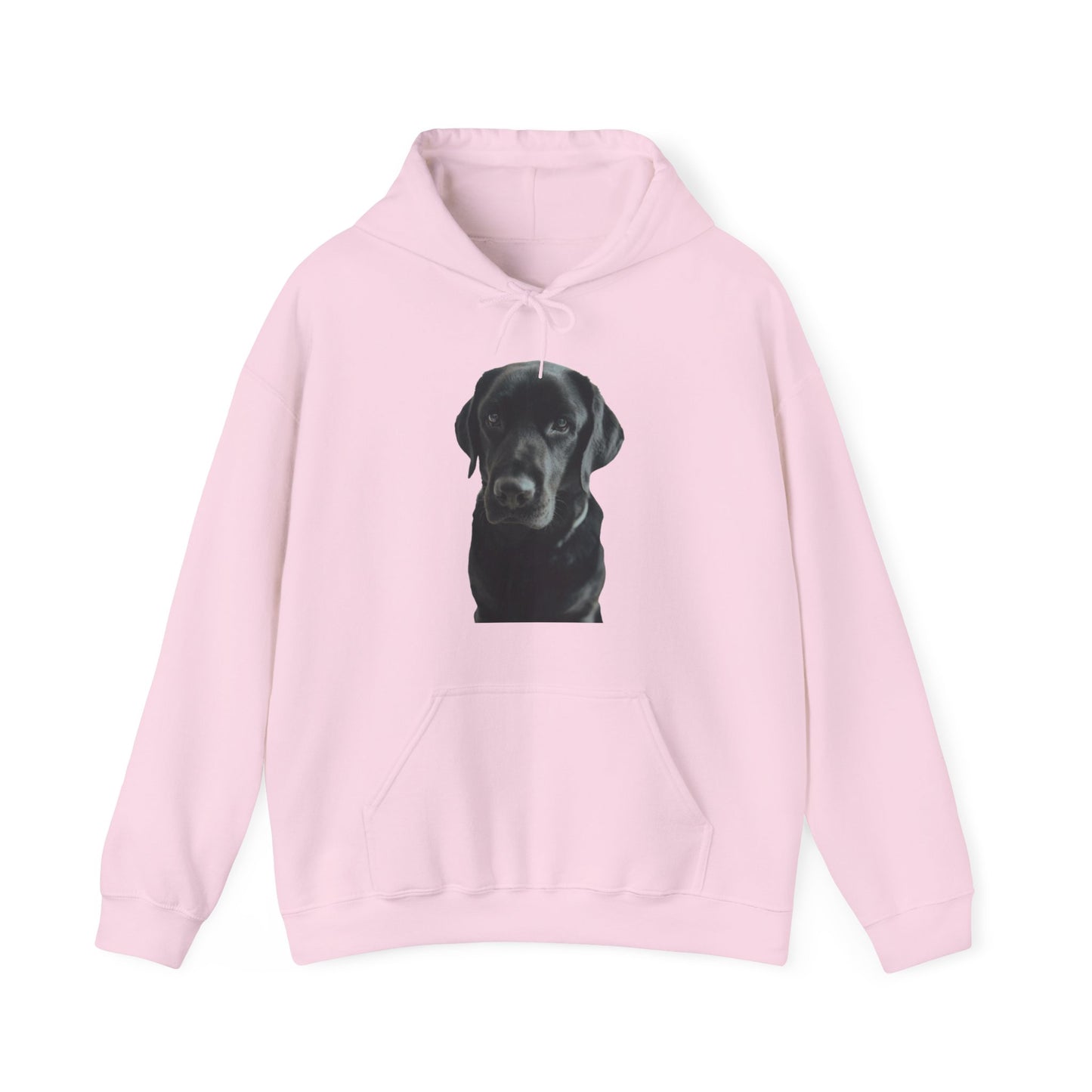 Black Labradors Hooded Sweatshirt