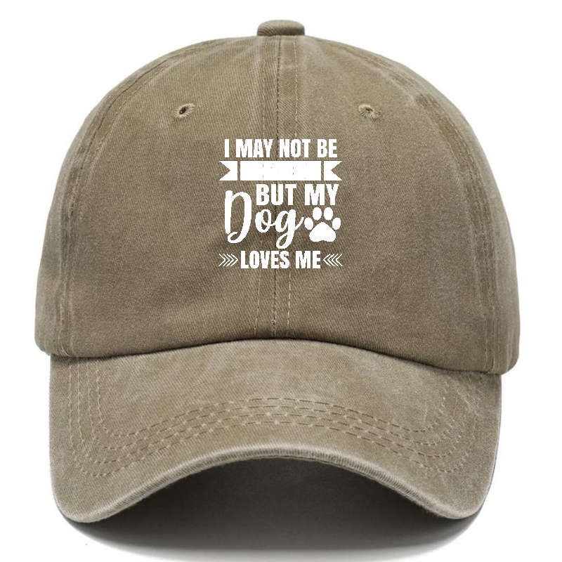 I may not be perfect but my dog loves me Hat