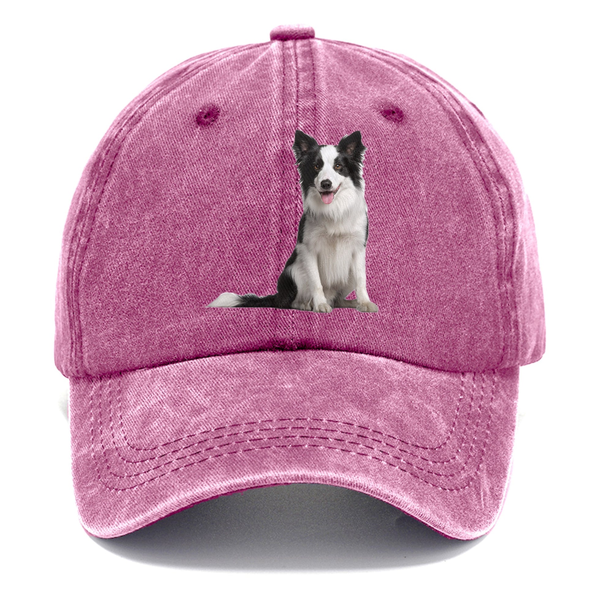 Border Collie Hat