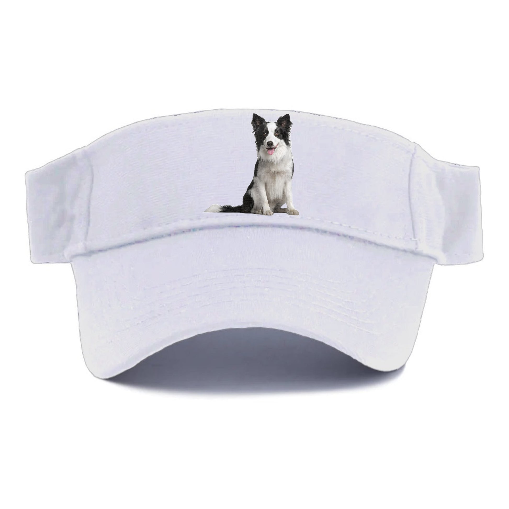 Border Collie Hat