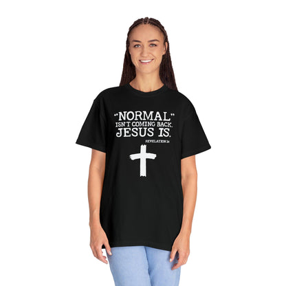 Sacred Verse T-Shirt: Jesus Is Here, Normal Isn't Coming Back - Pandaize