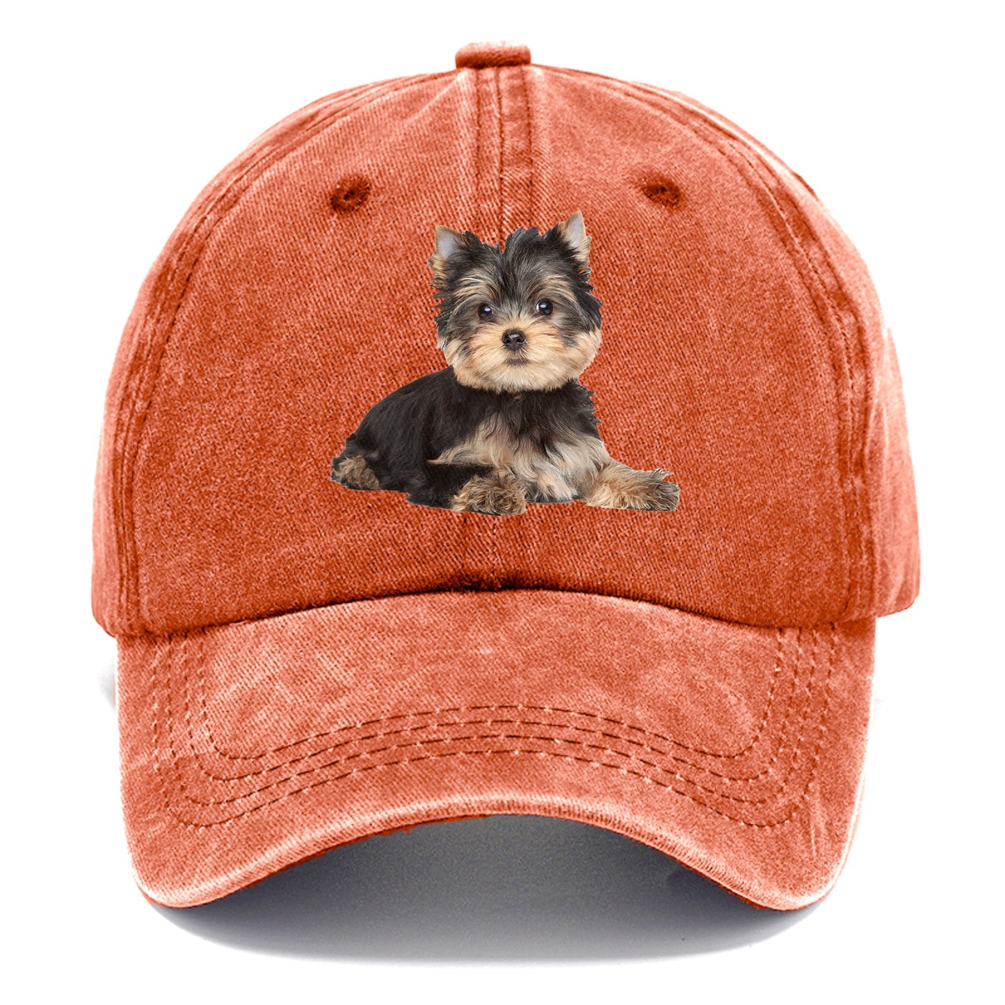 Yorkshire terrier Hat