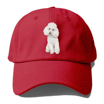 poodle Hat