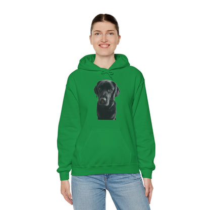 Sudadera con capucha Labradores negros