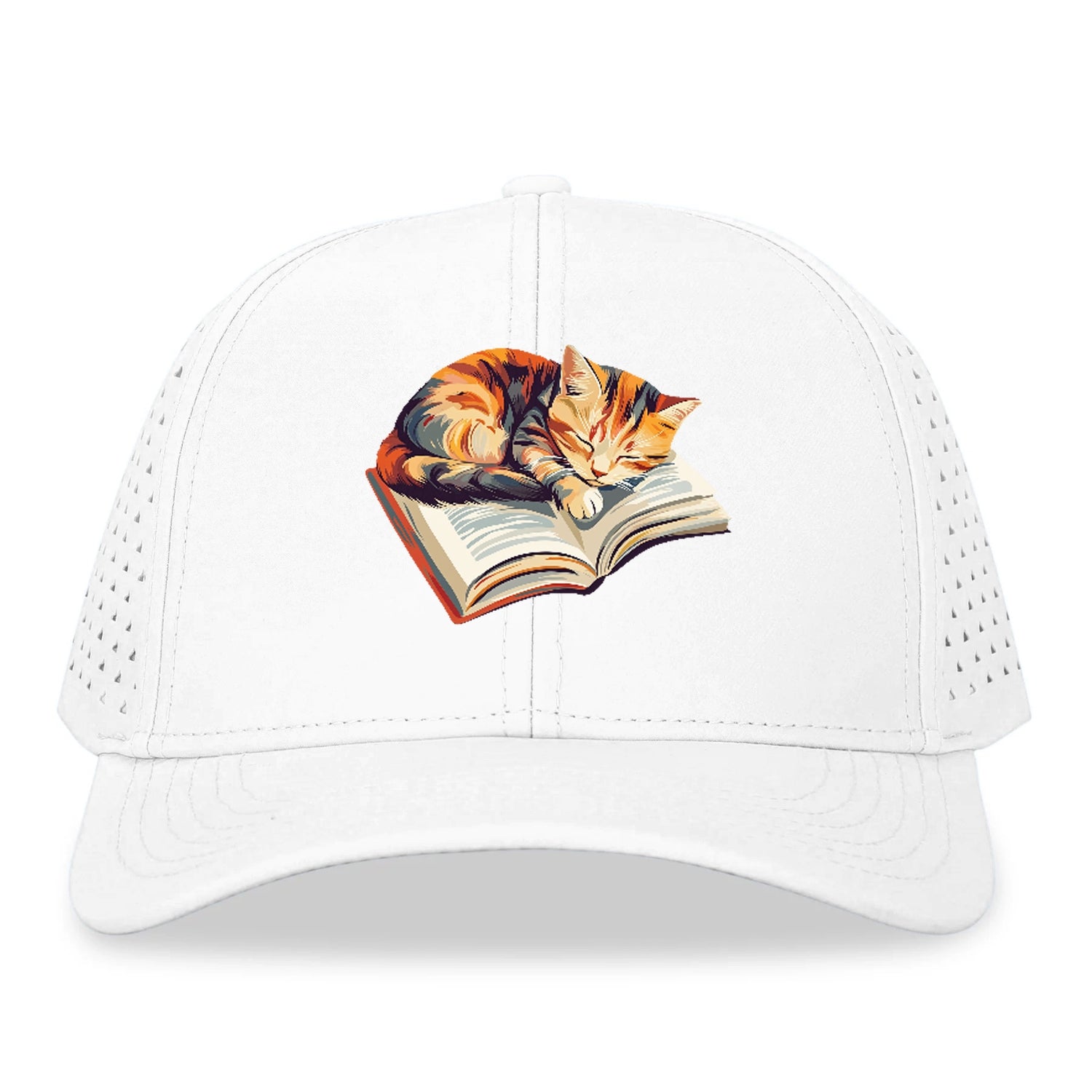 Cat Nap on Book Hat