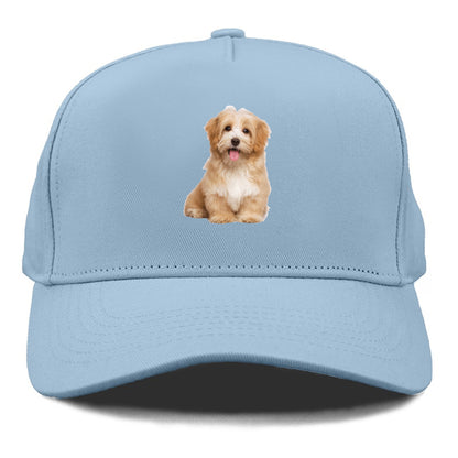 Adorable Shih Tzu Hat