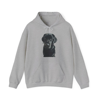 Black Labradors Hooded Sweatshirt