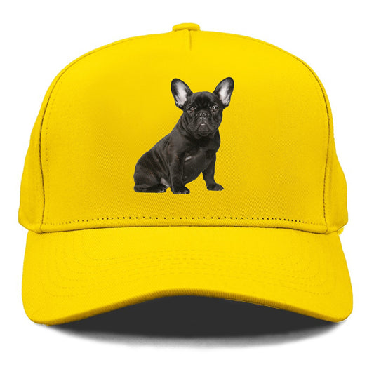 french bulldog Hat