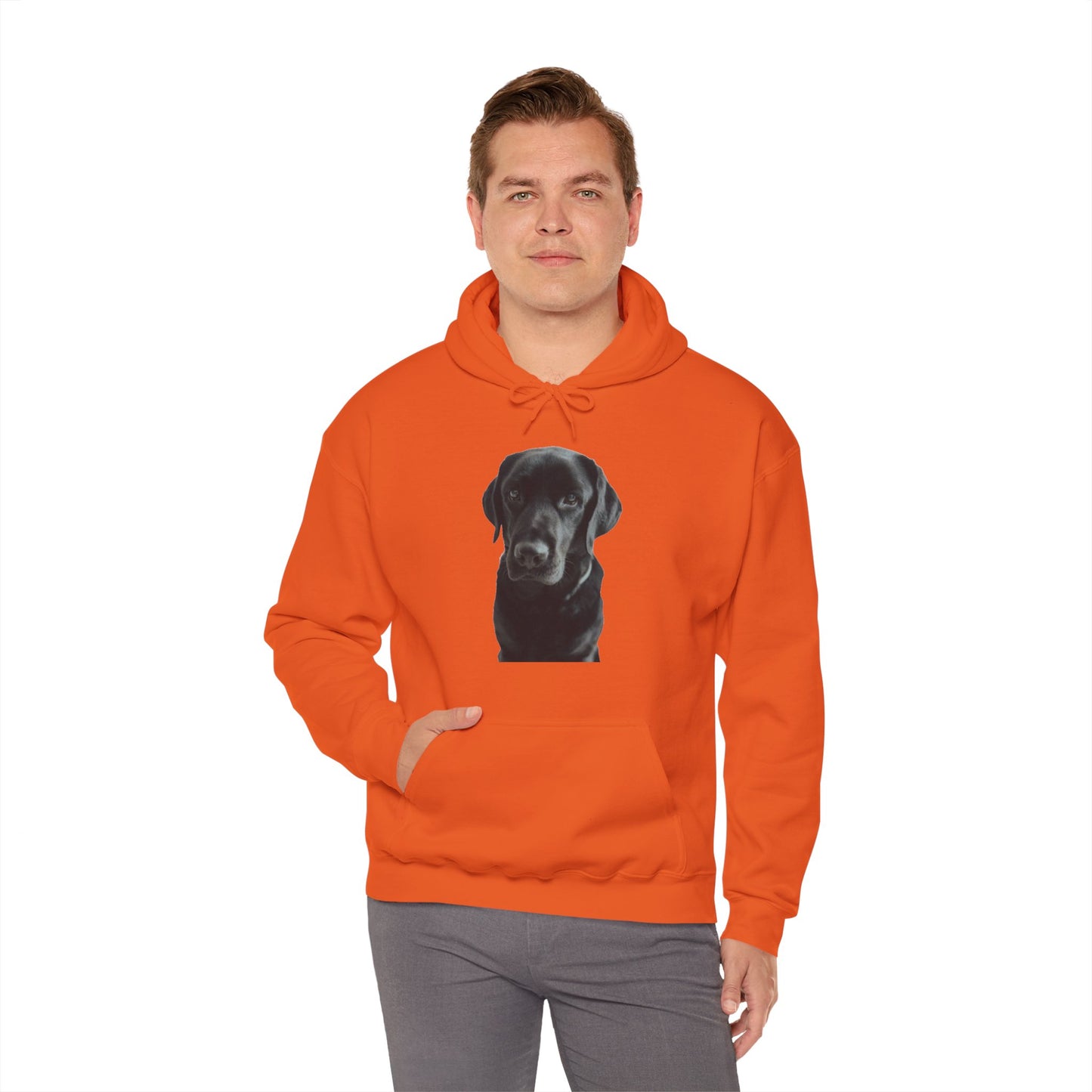 Black Labradors Hooded Sweatshirt