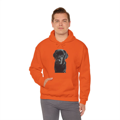 Black Labradors Hooded Sweatshirt