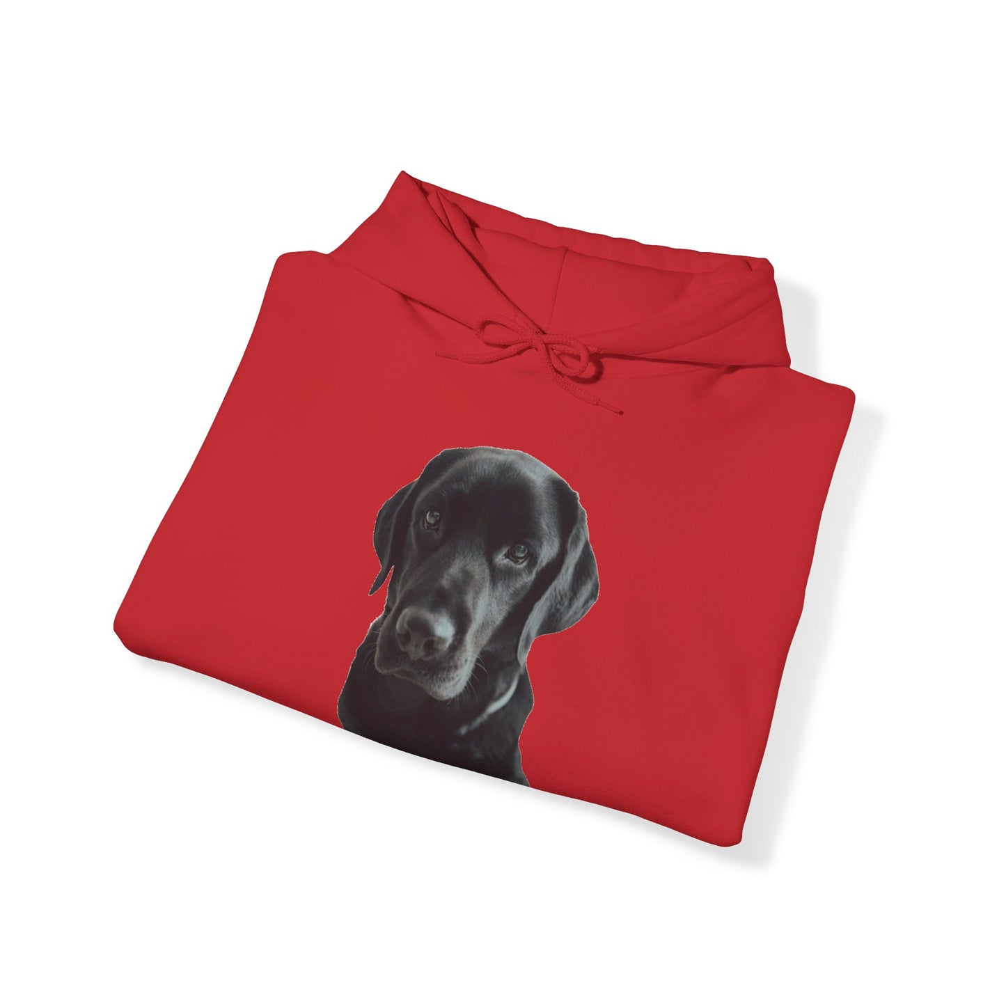 Black Labradors Hooded Sweatshirt