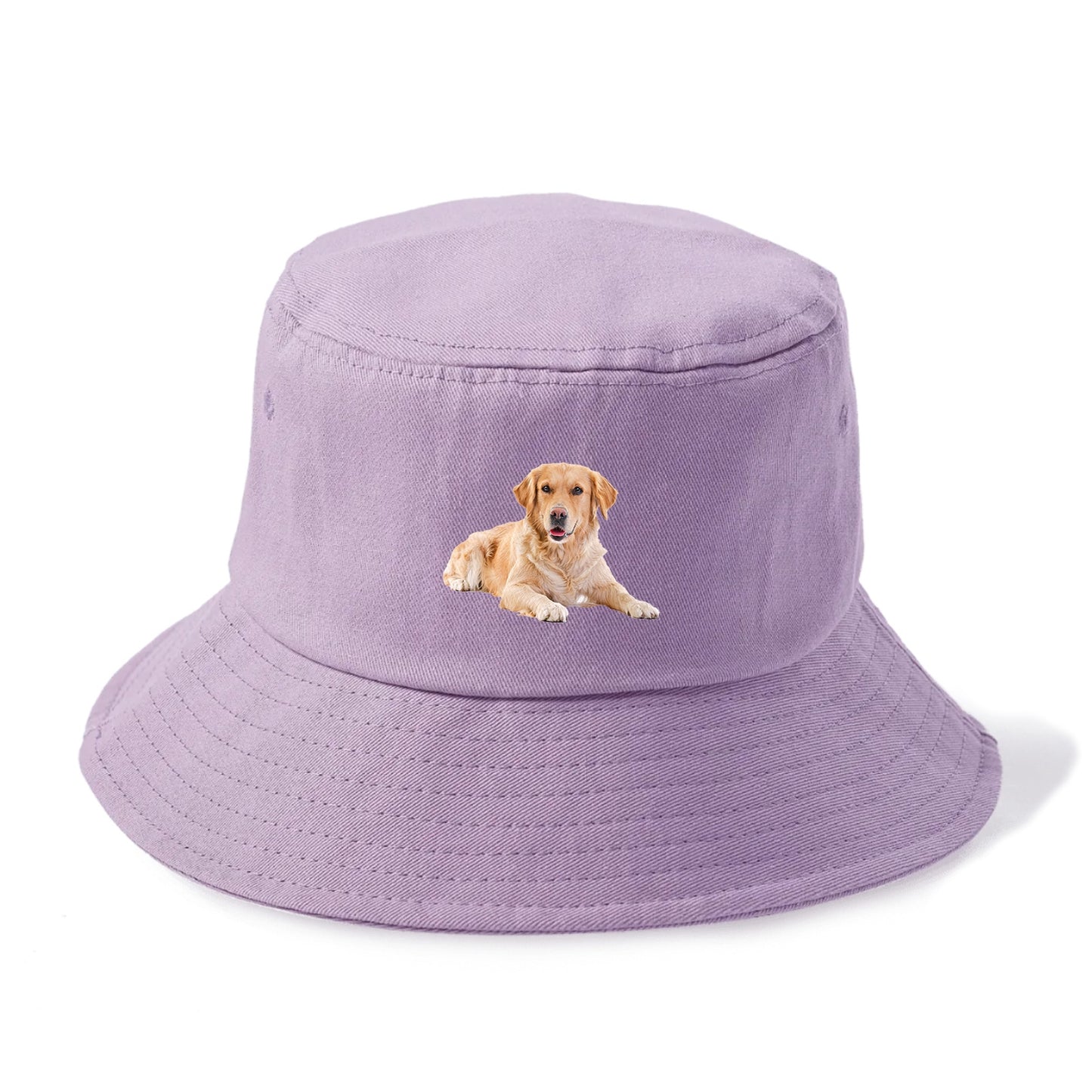 Golden Retriever laying down Hat