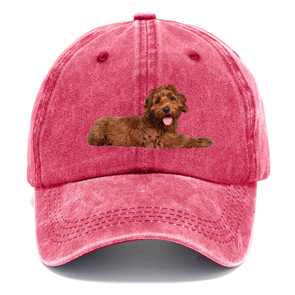 Labradoodle laying down Hat