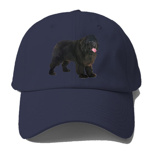 Newfoundland Baseball Cap