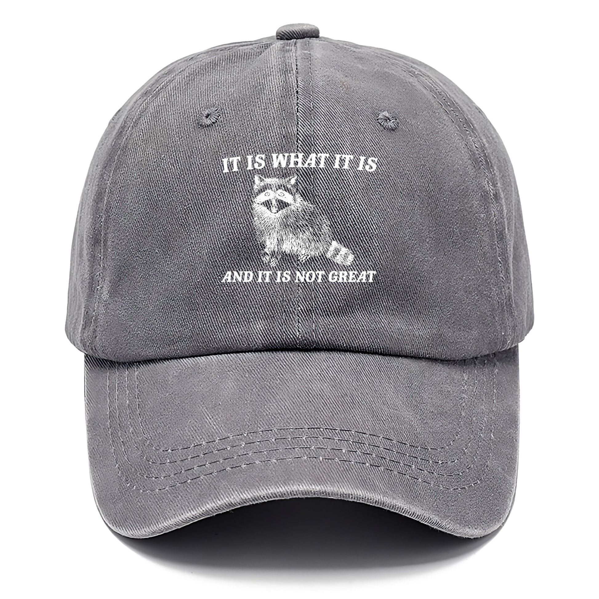 it is what it is Hat