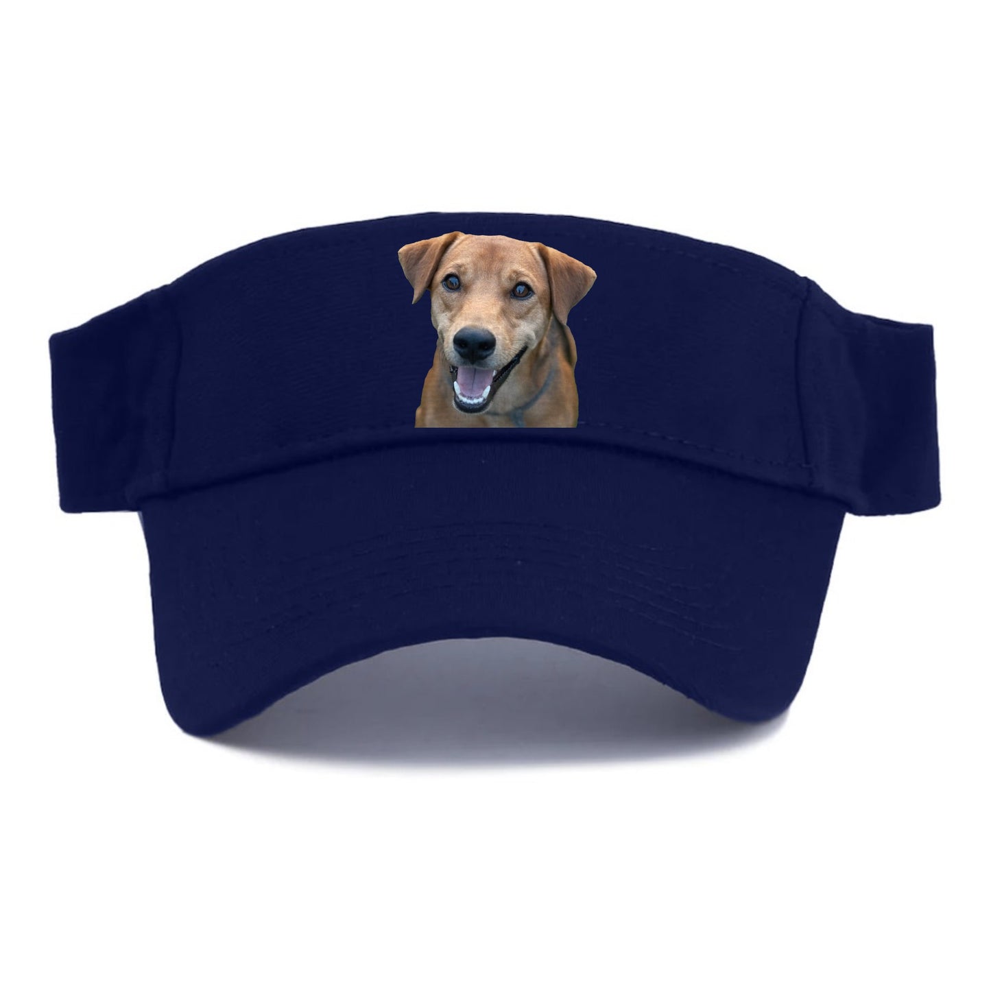 Labrador Hat