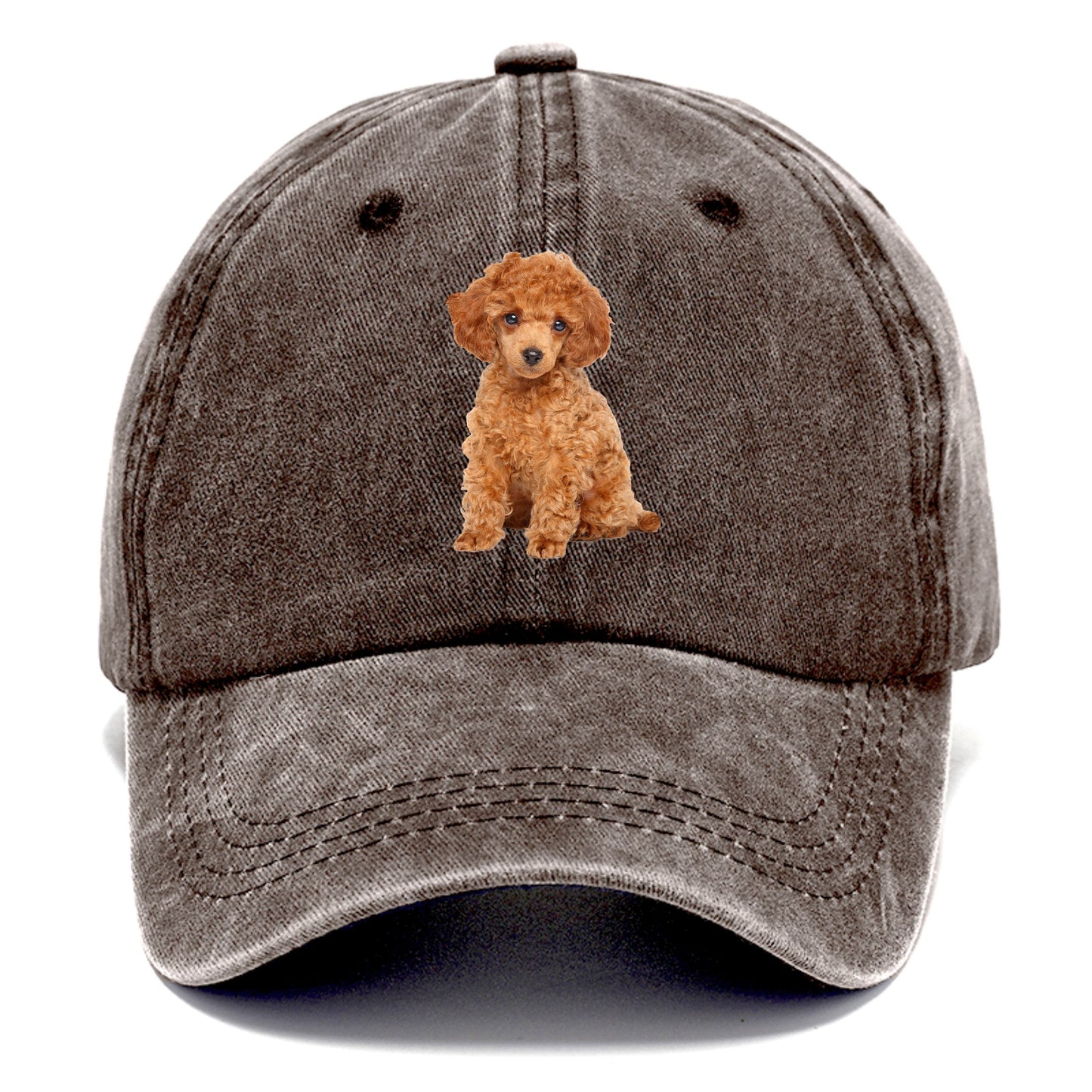 toy poodle Hat