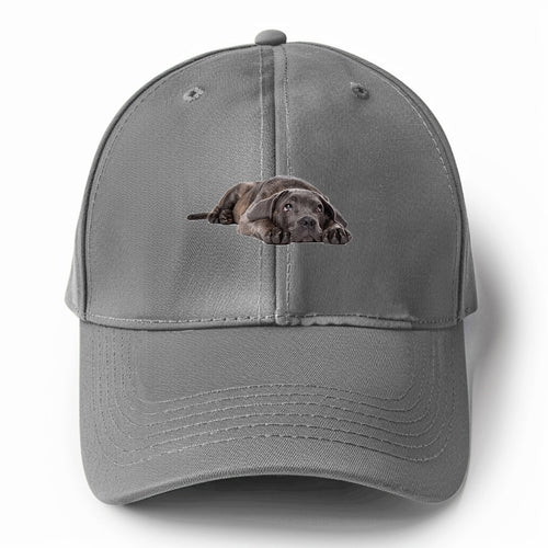 Cane Corso Solid Color Baseball Cap