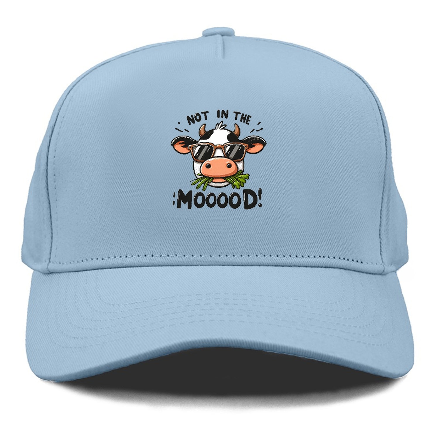 Not In The Moood 2 Hat