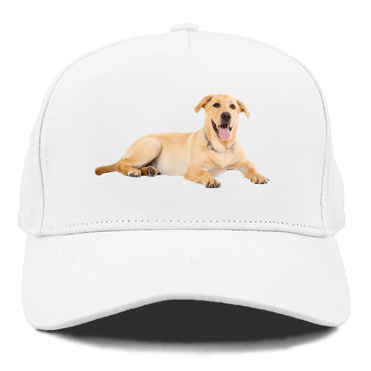 Labrador laying down Hat