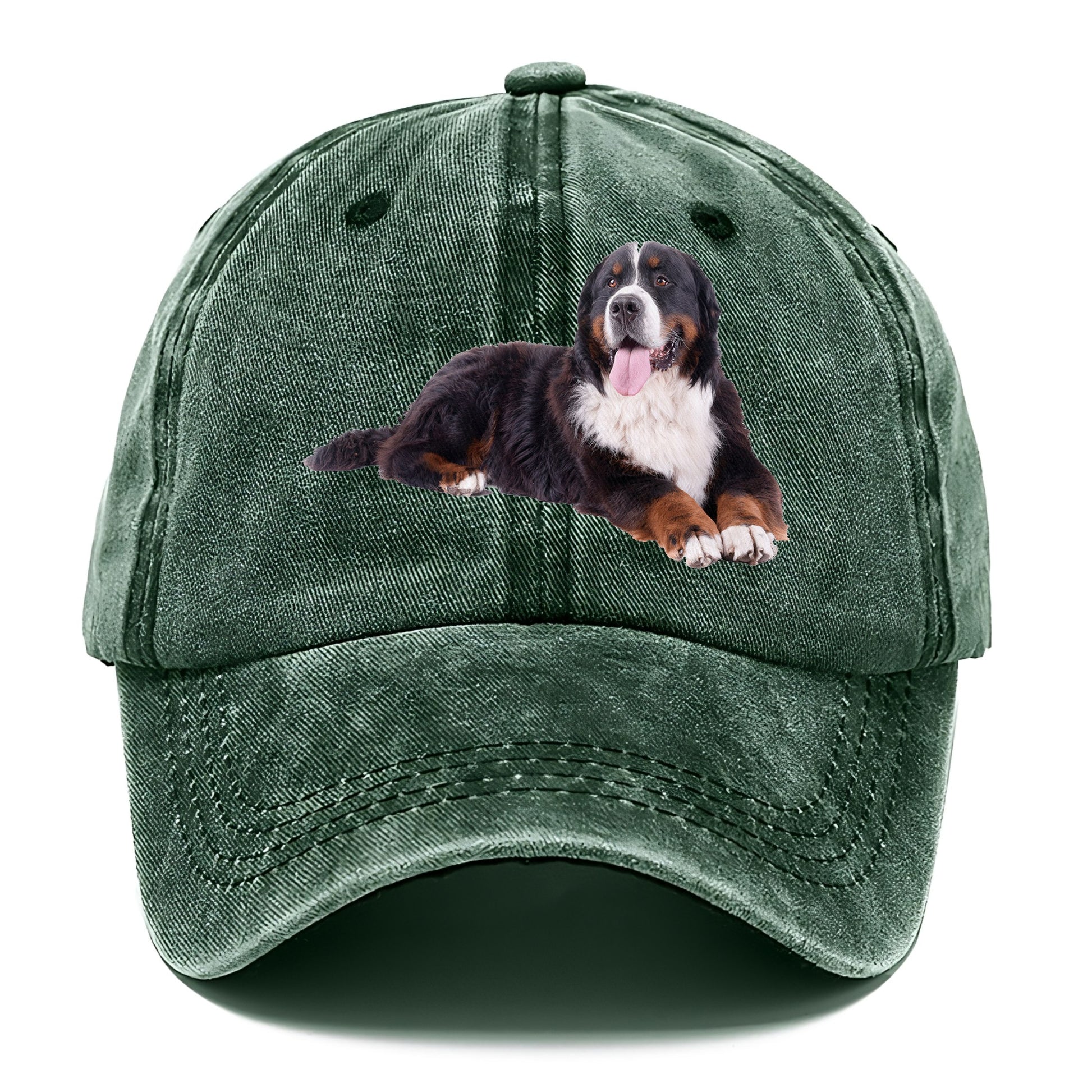 bernese mountain dog Hat