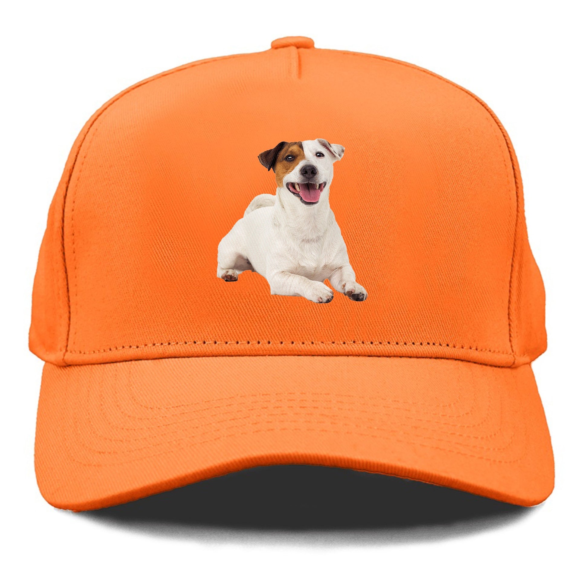 jack russell terrier dog Hat