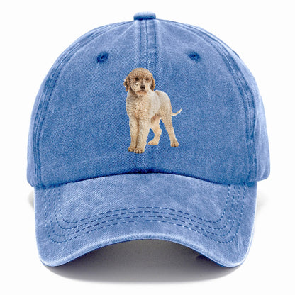 Lagotto Romagnolo Hat