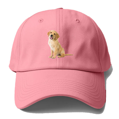 Playful golden pup with a cheerful expression Hat