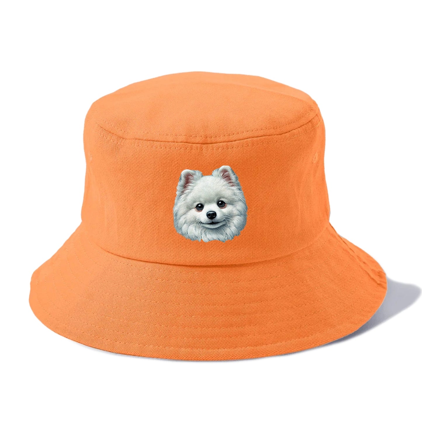 Pomeranian Hat