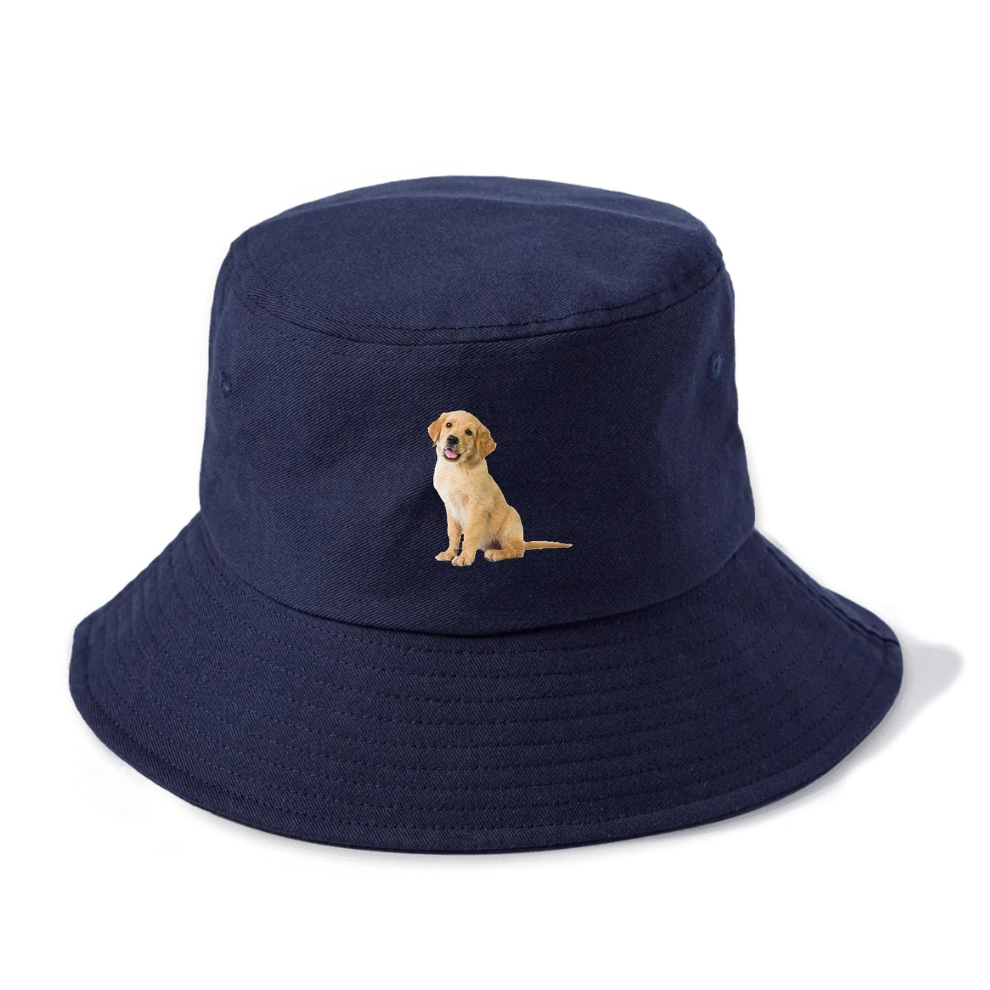 Playful golden pup with a cheerful expression Hat