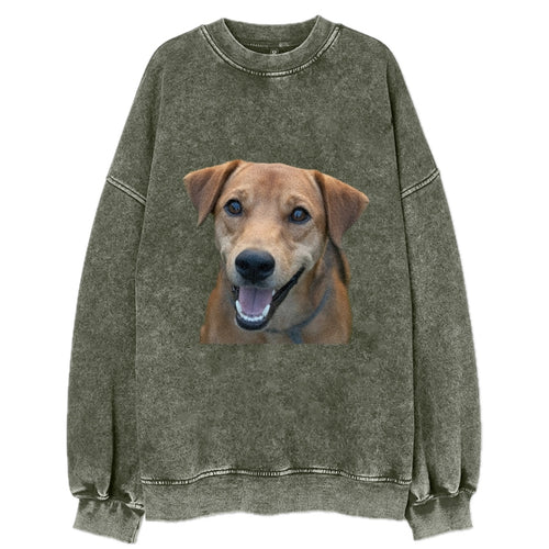 Labrador Vintage Sweatshirt