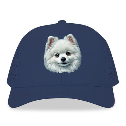 Pomeranian Hat