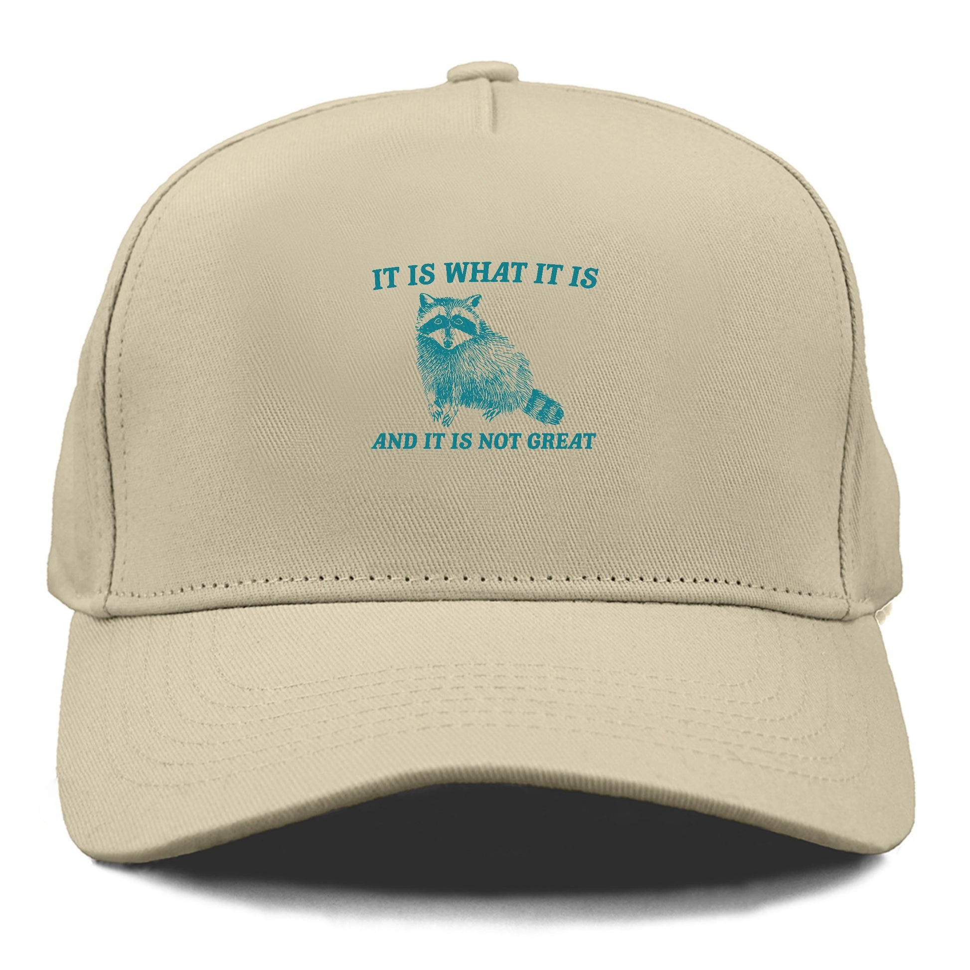 it is what it is Hat