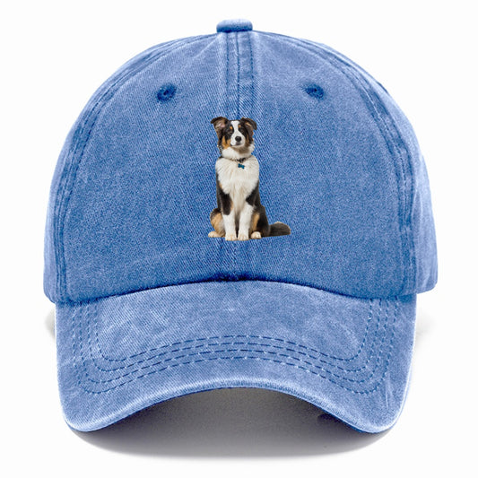 Attentive Australian Shepherd sitting upright Hat