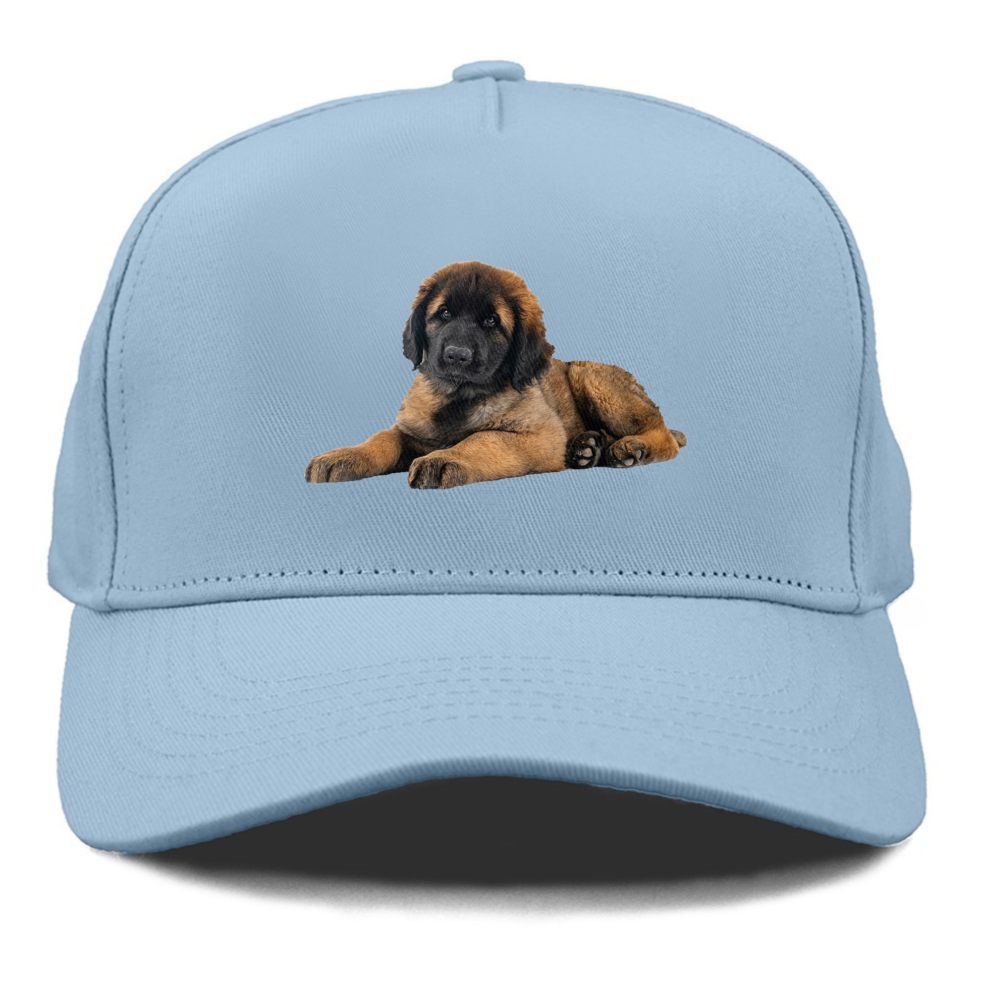 Leonberger Hat