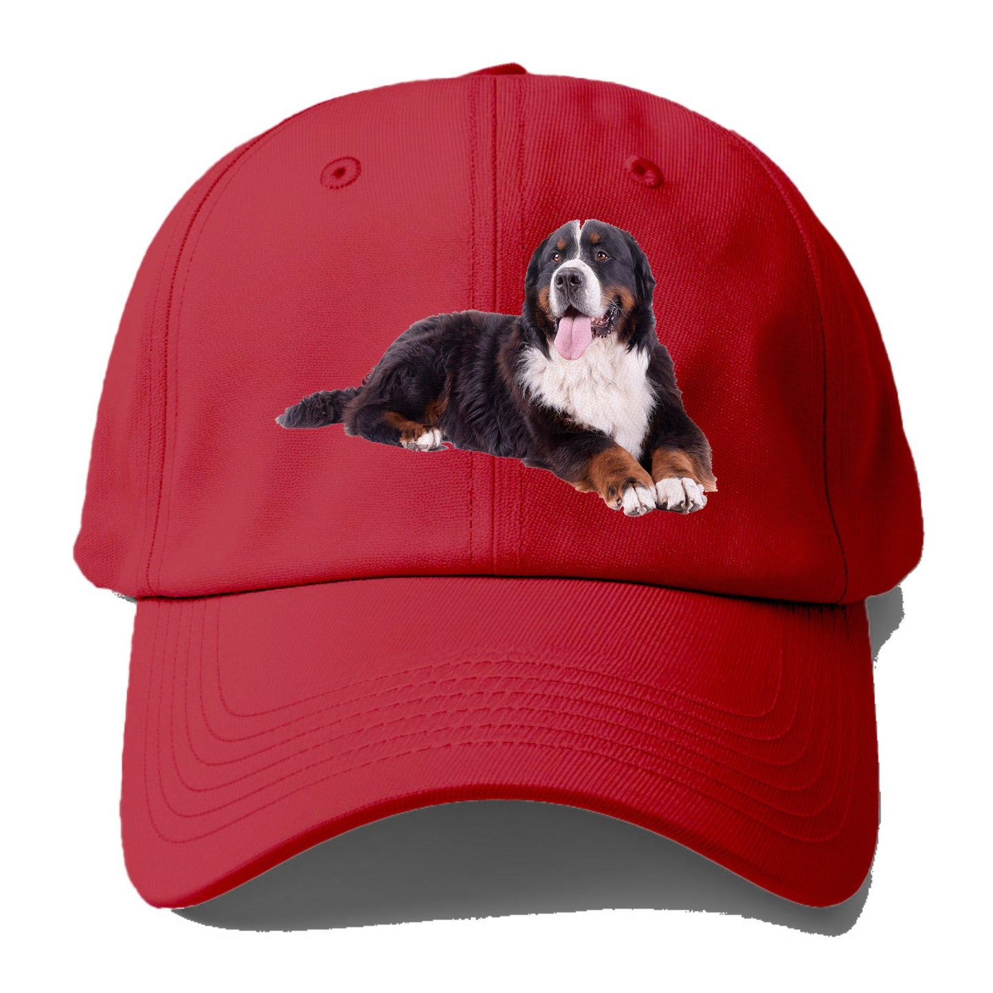 bernese mountain dog Hat