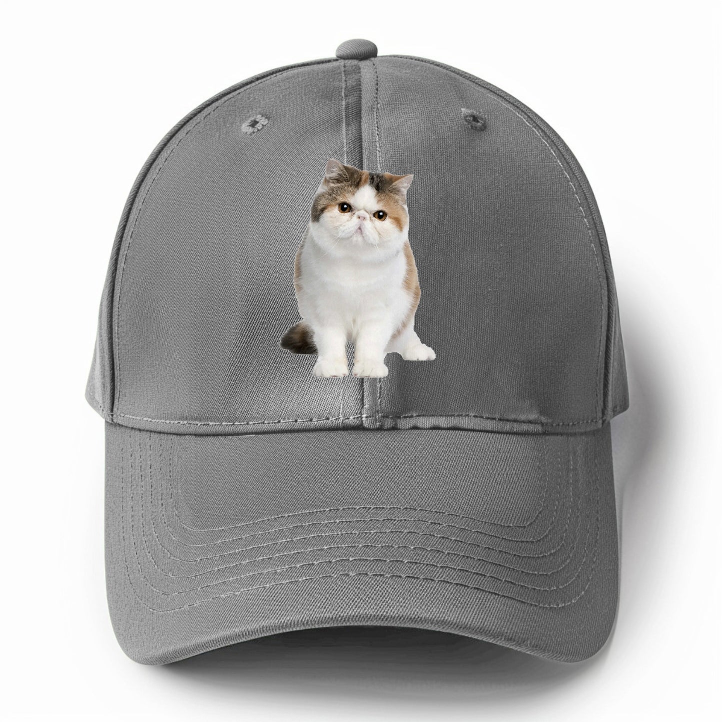 exotic shorthair Hat