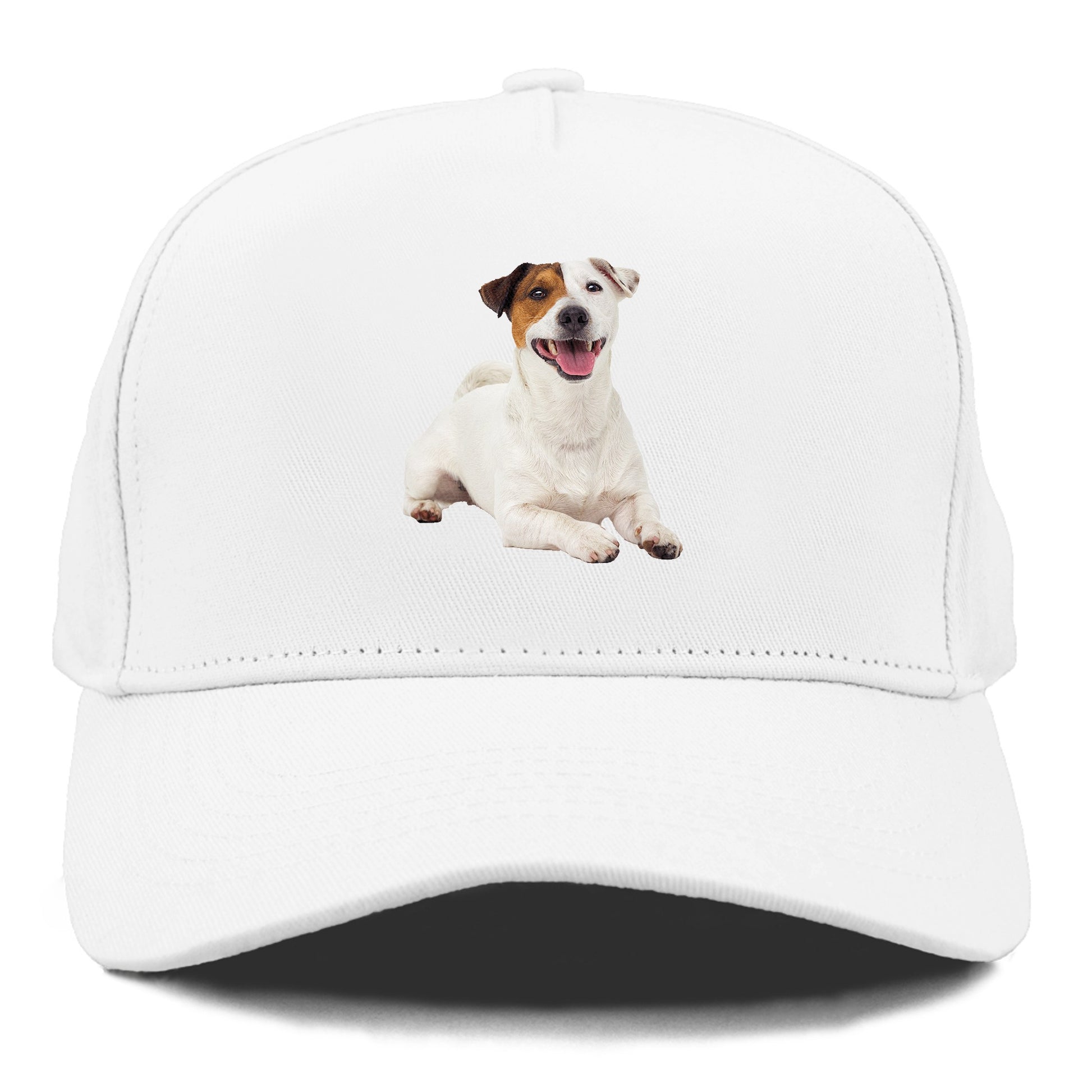 jack russell terrier dog Hat