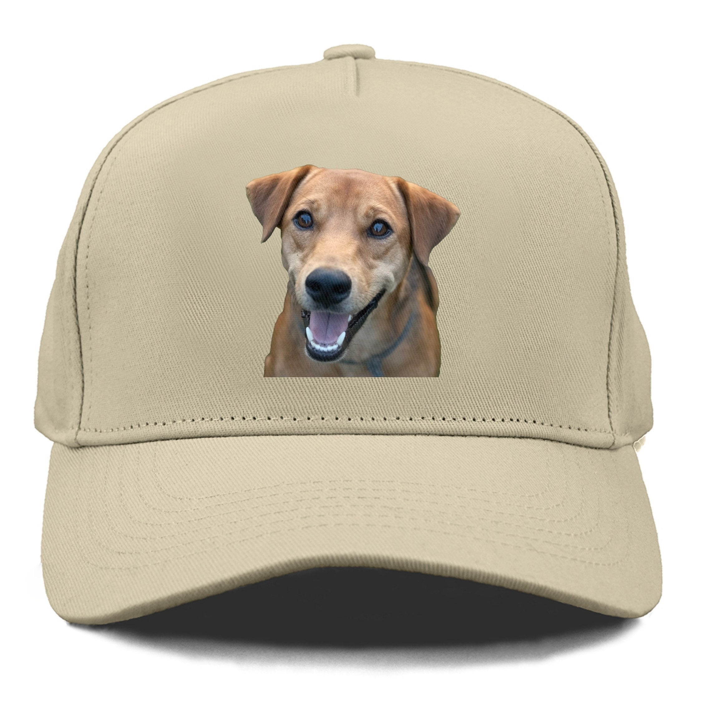 Labrador Cap – Pandaize