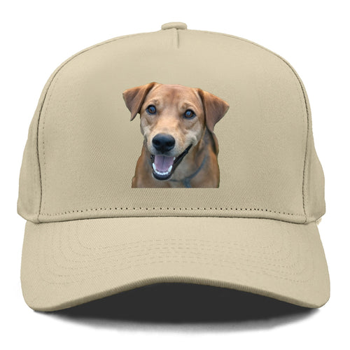 Labrador Cap