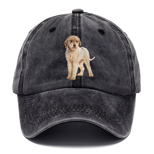 Lagotto Romagnolo Hat